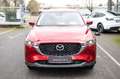 Mazda CX-5 CX-5/ADVANTAGE/194PS/4x4/AUTOMATIK Rood - thumbnail 3