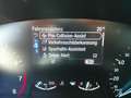 Ford Focus 1,0 EcoBoost Hybrid ST-Line Grau - thumbnail 22