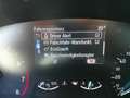 Ford Focus 1,0 EcoBoost Hybrid ST-Line Grau - thumbnail 23