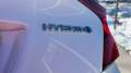 Toyota C-HR 2,0 Hybrid GR-SPORT CVT Weiß - thumbnail 10