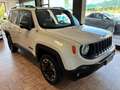 Jeep Renegade 2.0 mjt Trailhawk 4wd 170cv auto*Cinghia Fatta* Alb - thumbnail 3