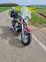 Honda Shadow 750 American Classic Bej - thumbnail 19