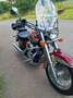 Honda Shadow 750 American Classic Bej - thumbnail 16