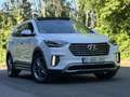 Hyundai Grand Santa Fe Diesel 7pl-Executive-Pano-360 cam-Navi-Leder-Full Weiß - thumbnail 2