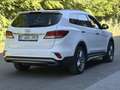 Hyundai Grand Santa Fe Diesel 7pl-Executive-Pano-360 cam-Navi-Leder-Full Weiß - thumbnail 5