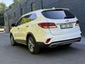Hyundai Grand Santa Fe Diesel 7pl-Executive-Pano-360 cam-Navi-Leder-Full Weiß - thumbnail 6