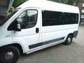 Fiat Ducato Ducato 35 3.0 CNG L2H2 Wit - thumbnail 6