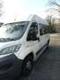 Fiat Ducato Ducato 35 3.0 CNG L2H2 Wit - thumbnail 7
