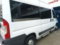Fiat Ducato Ducato 35 3.0 CNG L2H2 Wit - thumbnail 4