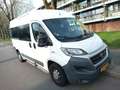 Fiat Ducato Ducato 35 3.0 CNG L2H2 Wit - thumbnail 5