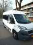Fiat Ducato Ducato 35 3.0 CNG L2H2 Wit - thumbnail 1