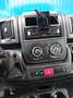 Fiat Ducato Ducato 35 3.0 CNG L2H2 Wit - thumbnail 3