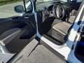 Ford Tourneo Courier N1 *UNICOPROPRIETARIO* Wit - thumbnail 5