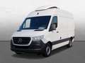 Mercedes-Benz Sprinter 316 CDI Kühlkasten Frischd.0°+Standkühlung Blanc - thumbnail 4