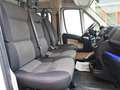Fiat Ducato 33 2.3 MJT 130CV PM Cassone Fisso Bianco - thumbnail 6