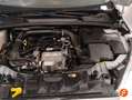 Ford Focus 1.0 Ecoboost 125cv B&R Blanc - thumbnail 24