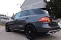 Mercedes-Benz ML 250 ML 250 CDI BlueTec (166.004)  KUNDEN AUFTRAG Grau - thumbnail 7