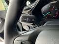 Ford Fiesta Titanium X Automatik Navi LED Grau - thumbnail 18