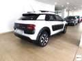 Citroen C4 Cactus BlueHDi 100 S&S ETG6 Shine Bianco - thumbnail 4