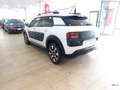 Citroen C4 Cactus BlueHDi 100 S&S ETG6 Shine Bianco - thumbnail 6