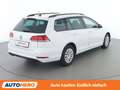 Volkswagen Golf 1.6 TDI Weiß - thumbnail 6