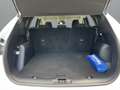 Ford Kuga 2,5 Duratec FHEV Titanium Aut. Weiß - thumbnail 17