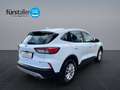 Ford Kuga 2,5 Duratec FHEV Titanium Aut. Weiß - thumbnail 5
