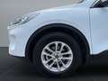 Ford Kuga 2,5 Duratec FHEV Titanium Aut. Weiß - thumbnail 19