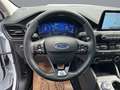 Ford Kuga 2,5 Duratec FHEV Titanium Aut. Weiß - thumbnail 13