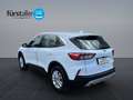 Ford Kuga 2,5 Duratec FHEV Titanium Aut. Weiß - thumbnail 7