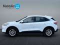 Ford Kuga 2,5 Duratec FHEV Titanium Aut. Weiß - thumbnail 8