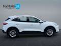 Ford Kuga 2,5 Duratec FHEV Titanium Aut. Weiß - thumbnail 4