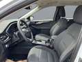 Ford Kuga 2,5 Duratec FHEV Titanium Aut. Weiß - thumbnail 9