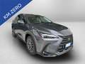 Lexus NX 350h 350h 2.5 premium 4wd e-cvt - thumbnail 3