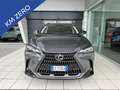 Lexus NX 350h 350h 2.5 premium 4wd e-cvt - thumbnail 2