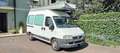 Fiat Ducato Blanco - thumbnail 4