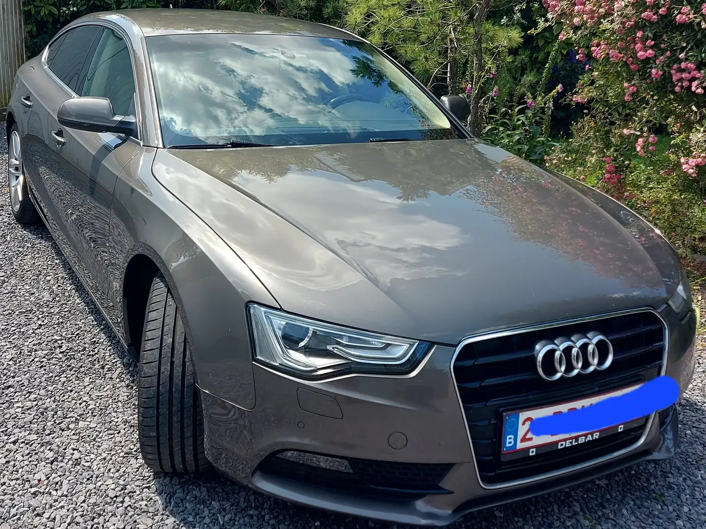 Audi A5 A5 Sportback 2.0 TDi ultra bež - 1