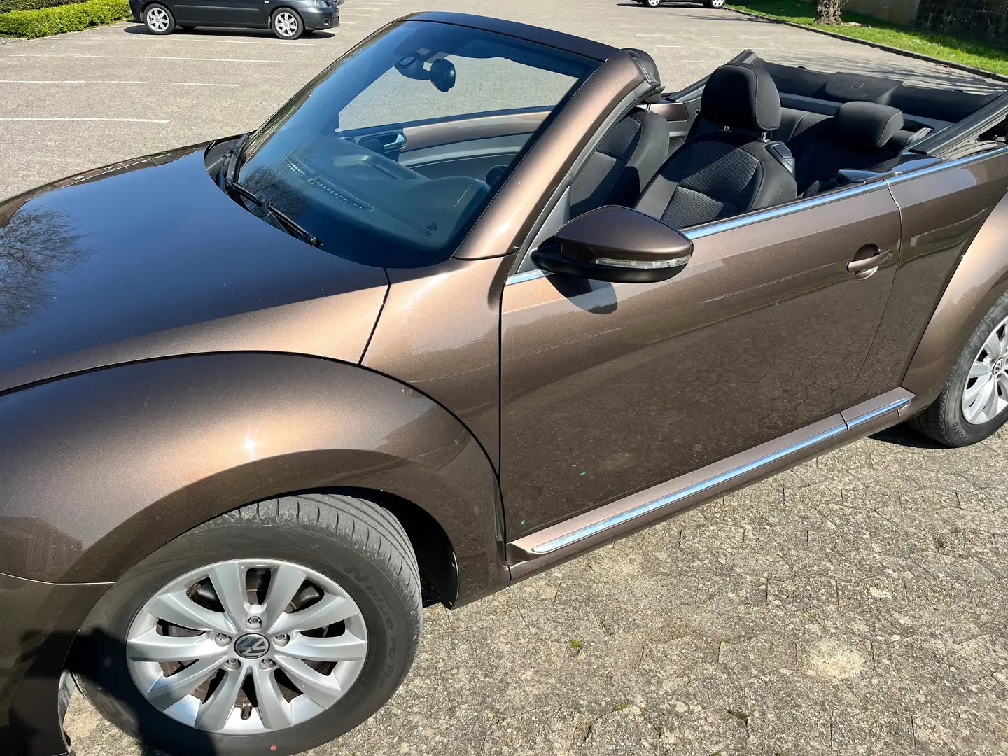 Volkswagen Beetle Cabriolet+1.6+CR+TDi Brun - 2