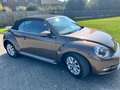 Volkswagen Beetle Cabriolet+1.6+CR+TDi Brun - thumbnail 9