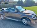 Volkswagen Beetle Cabriolet+1.6+CR+TDi Brun - thumbnail 6
