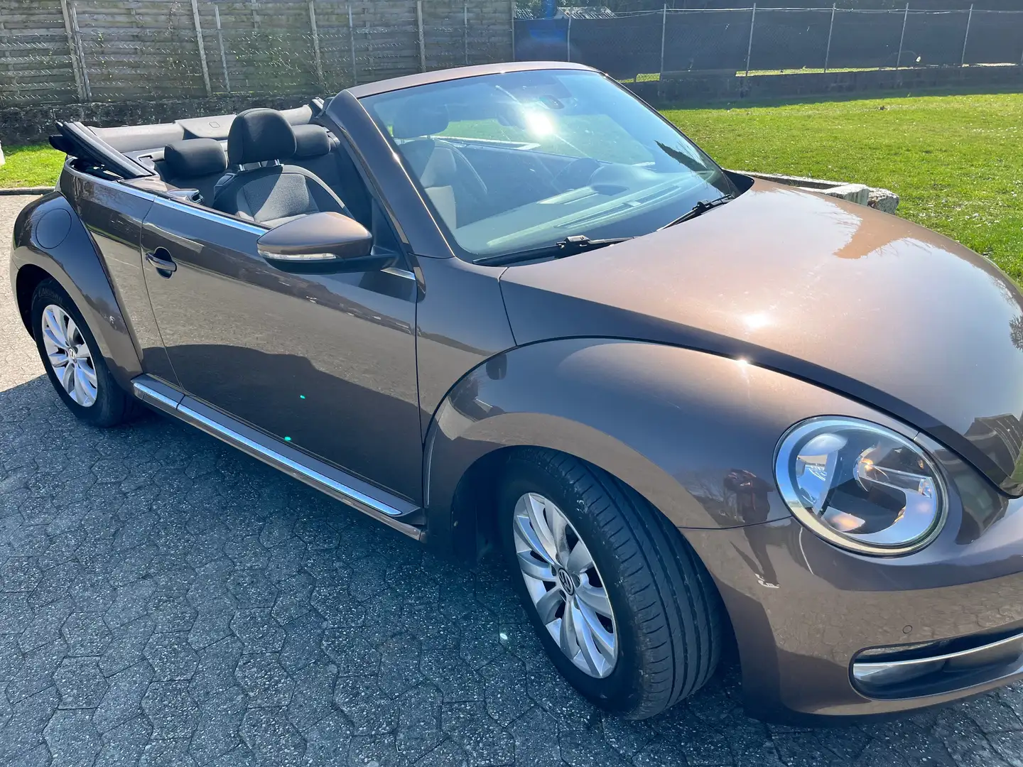 Volkswagen Beetle Cabriolet+1.6+CR+TDi Brun - 1