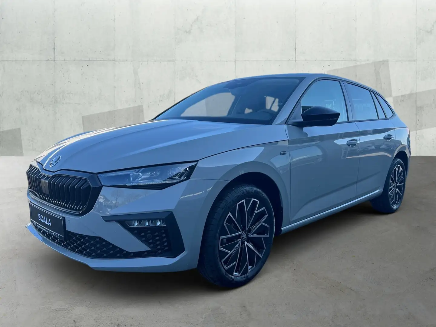 Skoda Scala TOUR 1.0 TSI DSG*ACC*PDC*SHZ*TEMPO*LED*R-Kam* Silber - 2