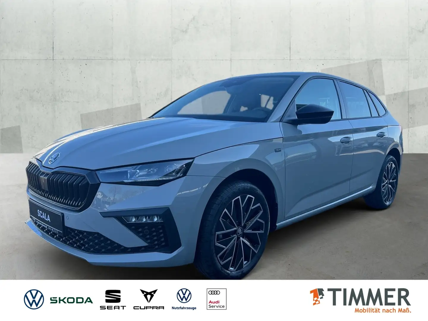 Skoda Scala TOUR 1.0 TSI DSG*ACC*PDC*SHZ*TEMPO*LED*R-Kam* Silber - 1