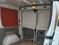 Renault Trafic Trafic Gen. Expr. L1H1 2,0 dCi DPF Expression Weiß - thumbnail 4