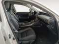 Lexus IS 300 300h Alb - thumbnail 10