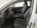 Lexus IS 300 300h Blanco - thumbnail 8