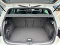Volkswagen Golf R -Line  2,0 BMT TDI DPF 4Motion Weiß - thumbnail 6