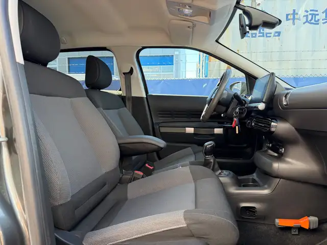 Citroen C4 Cactus view 10
