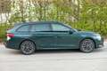Skoda Octavia 2.0 TDI 110 kW Sportline AHK Grün - thumbnail 23