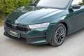 Skoda Octavia 2.0 TDI 110 kW Sportline AHK Grün - thumbnail 19